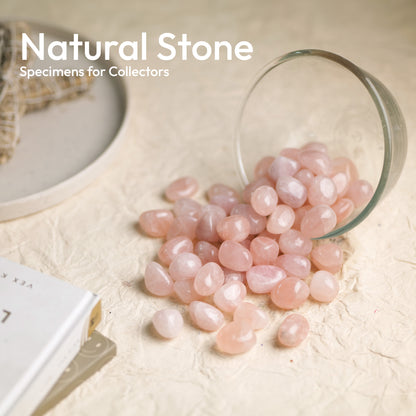 1 Lb Rose Quartz Tumbled Stones and Crystals