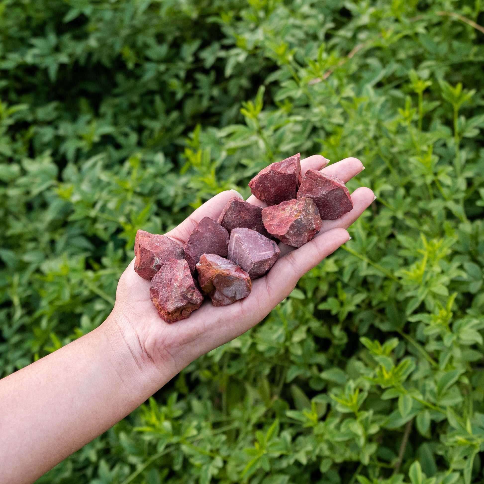 1 Lb Raw Red Jasper - Raw Jasper Rock - Healing Crystals And Stones Gift Set